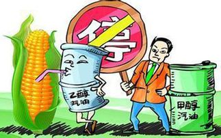 乙醇燃料能否取代傳統(tǒng)燃油引領(lǐng)能源革命？